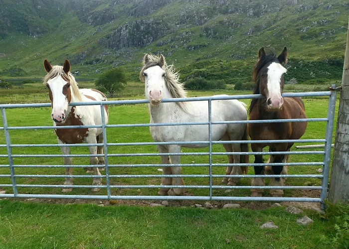 Purple Mountain Killarney