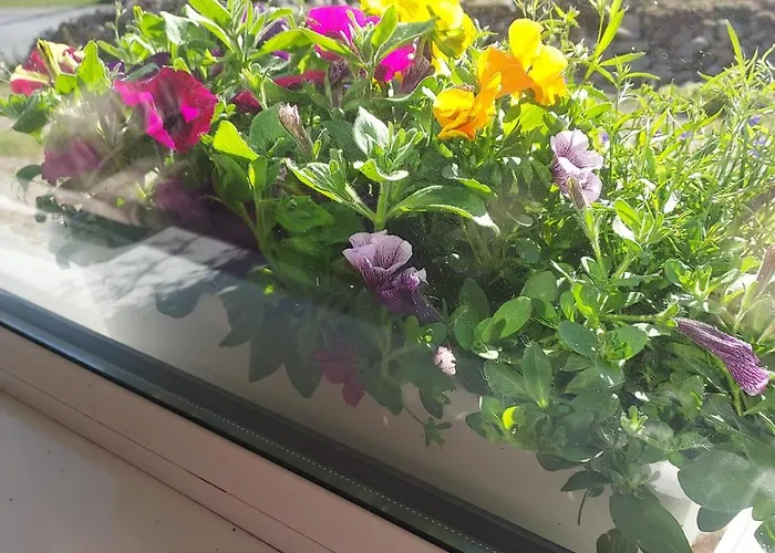 Purple Mountain 别墅 *