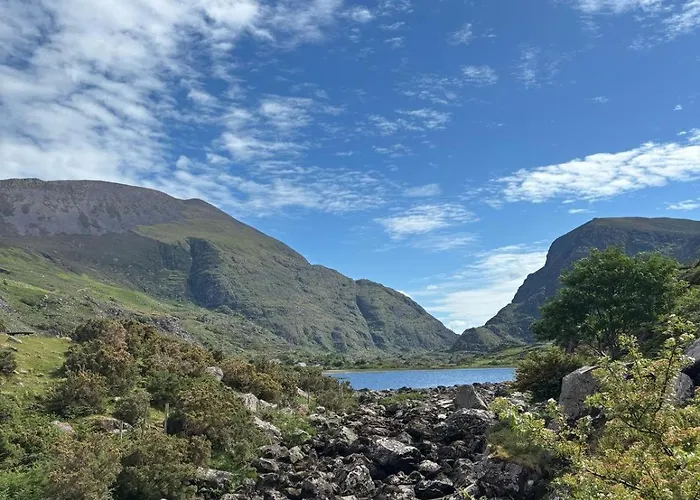 Purple Mountain 别墅