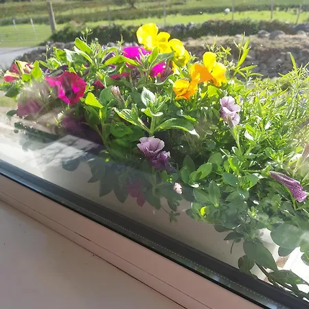 Purple Mountain ヴィラ *