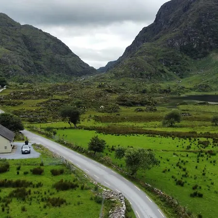 Purple Mountain キラーニー